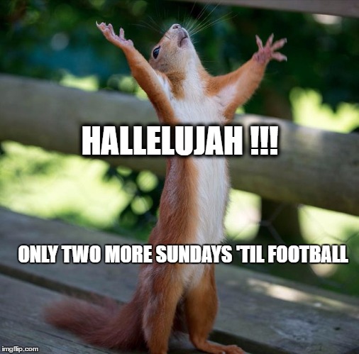 Squirrel Hallelujah | HALLELUJAH !!! ONLY TWO MORE SUNDAYS 'TIL FOOTBALL | image tagged in squirrel hallelujah | made w/ Imgflip meme maker