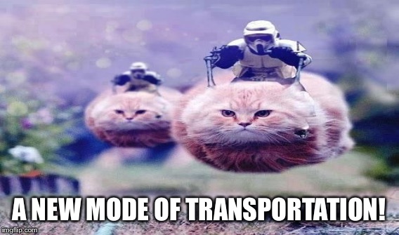 A NEW MODE OF TRANSPORTATION! | made w/ Imgflip meme maker