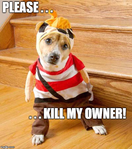 PLEASE . . . . . . KILL MY OWNER! | image tagged in dogs,costumes,pets | made w/ Imgflip meme maker