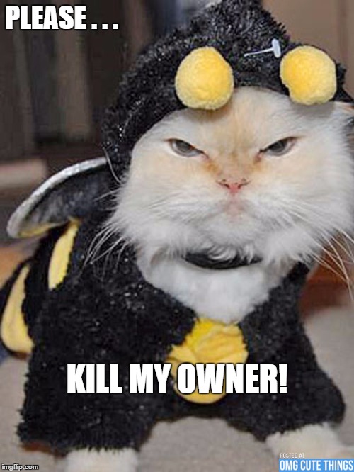 PLEASE . . . KILL MY OWNER! | image tagged in cats in costumes,cats,costumes | made w/ Imgflip meme maker