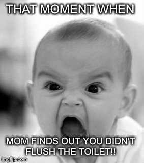Angry Baby Meme | THAT MOMENT WHEN; MOM FINDS OUT YOU DIDN'T FLUSH THE TOILET!! | image tagged in memes,angry baby | made w/ Imgflip meme maker
