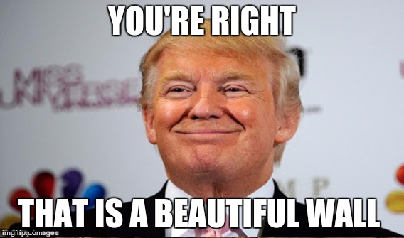 YOU'RE RIGHT THAT IS A BEAUTIFUL WALL | made w/ Imgflip meme maker