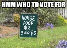 HMM WHO TO VOTE FOR | image tagged in horse | made w/ Imgflip meme maker