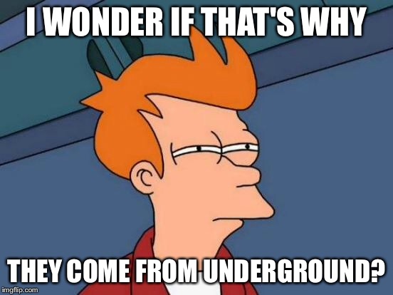 Futurama Fry Meme | I WONDER IF THAT'S WHY THEY COME FROM UNDERGROUND? | image tagged in memes,futurama fry | made w/ Imgflip meme maker