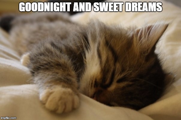 Goodnight | GOODNIGHT AND SWEET DREAMS | image tagged in goodnight | made w/ Imgflip meme maker