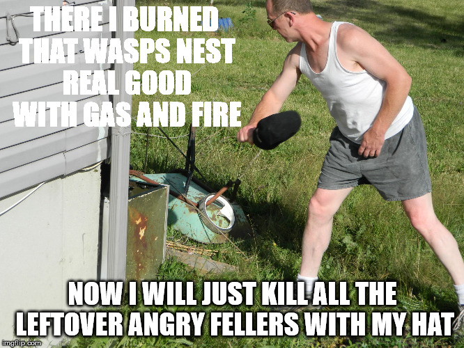 THERE I BURNED THAT WASPS NEST REAL GOOD WITH GAS AND FIRE; NOW I WILL JUST KILL ALL THE LEFTOVER ANGRY FELLERS WITH MY HAT | image tagged in wasps | made w/ Imgflip meme maker