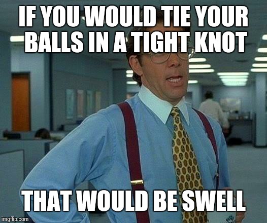 That Would Be Great Meme | IF YOU WOULD TIE YOUR BALLS IN A TIGHT KNOT THAT WOULD BE SWELL | image tagged in memes,that would be great | made w/ Imgflip meme maker