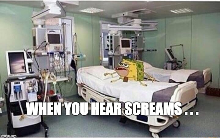 true story. | WHEN YOU HEAR SCREAMS . . . | image tagged in spongegar,memes,other,funny | made w/ Imgflip meme maker