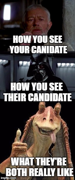 Sad, but true | HOW YOU SEE YOUR CANIDATE; HOW YOU SEE THEIR CANDIDATE; WHAT THEY'RE BOTH REALLY LIKE | image tagged in star wars | made w/ Imgflip meme maker