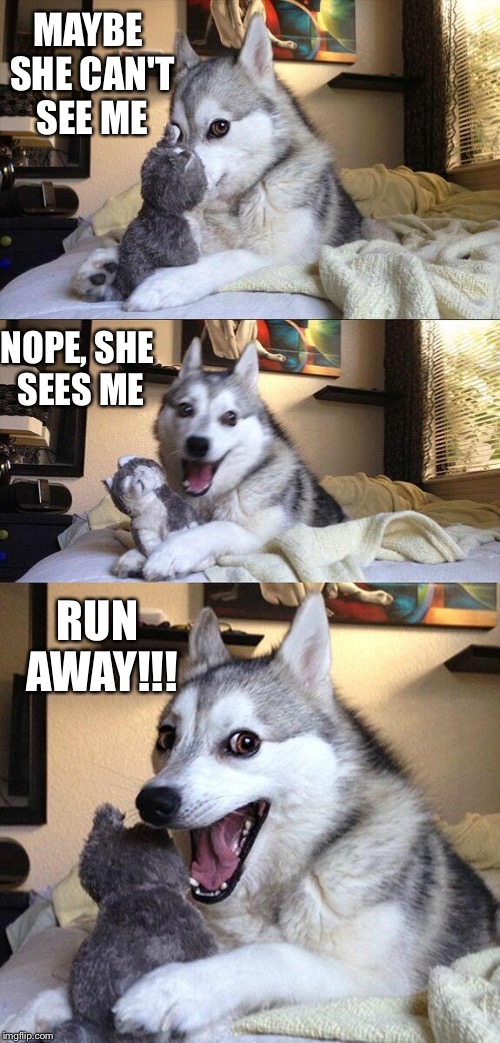 Bad Pun Dog Meme | MAYBE SHE CAN'T SEE ME; NOPE, SHE SEES ME; RUN AWAY!!! | image tagged in memes,bad pun dog | made w/ Imgflip meme maker