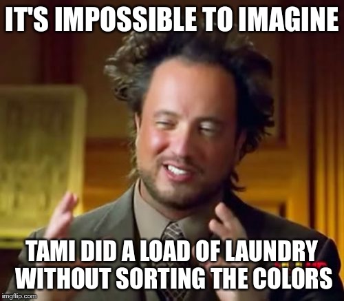 Ancient Aliens Meme | IT'S IMPOSSIBLE TO IMAGINE; TAMI DID A LOAD OF LAUNDRY WITHOUT SORTING THE COLORS | image tagged in memes,ancient aliens | made w/ Imgflip meme maker