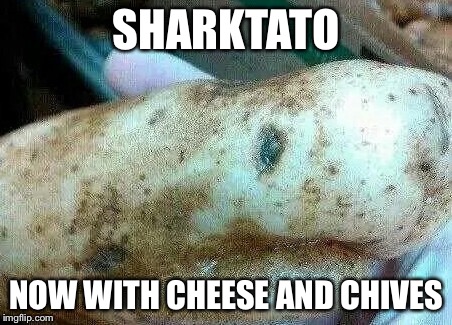 SHARKTATO NOW WITH CHEESE AND CHIVES | image tagged in sharktato | made w/ Imgflip meme maker