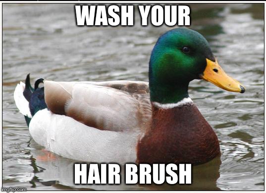 Actual Advice Mallard Meme | WASH YOUR; HAIR BRUSH | image tagged in memes,actual advice mallard | made w/ Imgflip meme maker