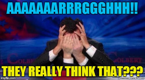 stephen colbert face palms | AAAAAAARRRGGGHHH!! THEY REALLY THINK THAT??? | image tagged in stephen colbert face palms | made w/ Imgflip meme maker