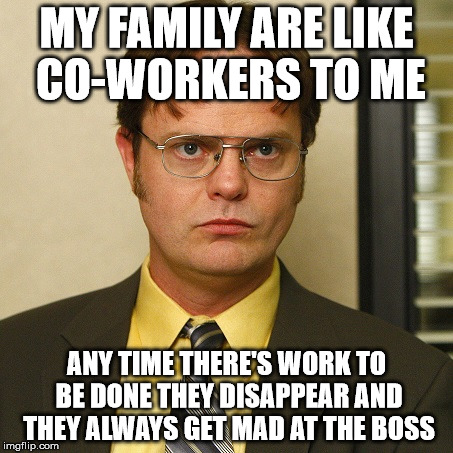 Family are like co-workers | MY FAMILY ARE LIKE CO-WORKERS TO ME; ANY TIME THERE'S WORK TO BE DONE THEY DISAPPEAR AND THEY ALWAYS GET MAD AT THE BOSS | image tagged in dwight false,co-workers,family,disappointment | made w/ Imgflip meme maker