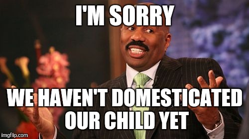 I'M SORRY WE HAVEN'T DOMESTICATED OUR CHILD YET | image tagged in memes,steve harvey | made w/ Imgflip meme maker