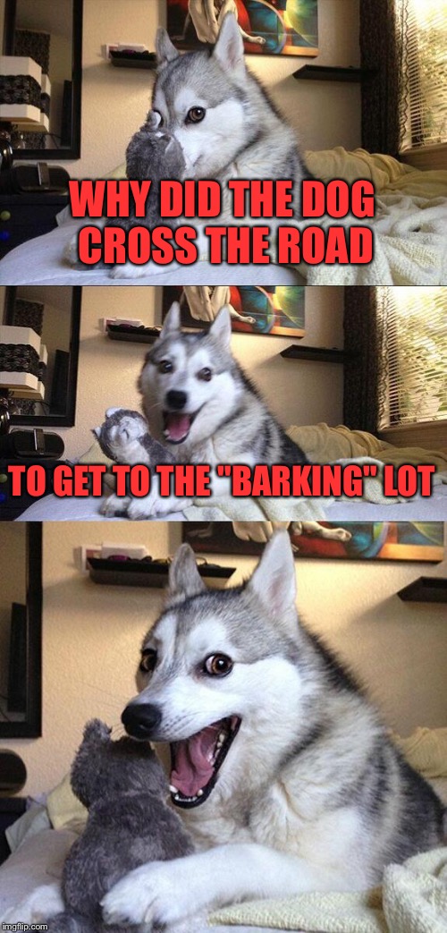 Bad Pun Dog | WHY DID THE DOG CROSS THE ROAD; TO GET TO THE "BARKING" LOT | image tagged in memes,bad pun dog,funny,funny memes,advice animal,bad pun | made w/ Imgflip meme maker