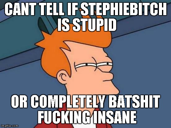 Futurama Fry Meme | CANT TELL IF STEPHIEBITCH IS STUPID; OR COMPLETELY BATSHIT FUCKING INSANE | image tagged in memes,futurama fry | made w/ Imgflip meme maker