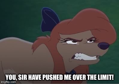 You, Sir Have Pushed Me Over The Limit! | YOU, SIR HAVE PUSHED ME OVER THE LIMIT! | image tagged in dixie annoyed,memes,disney,the fox and the hound 2,reba mcentire,dog | made w/ Imgflip meme maker