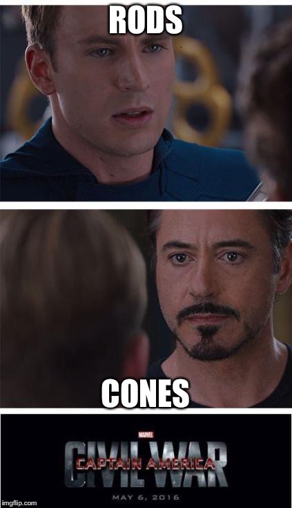 We don't see eye to eye... | RODS; CONES | image tagged in memes,marvel civil war 1 | made w/ Imgflip meme maker