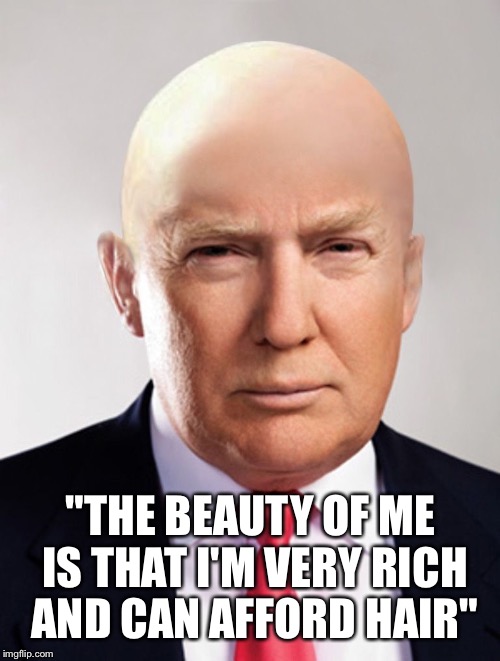 "THE BEAUTY OF ME IS THAT I'M VERY RICH AND CAN AFFORD HAIR" | made w/ Imgflip meme maker