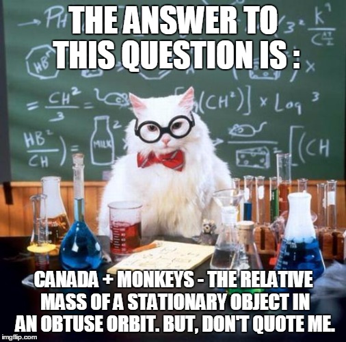 WHAT IS THE MEANING OF LIFE? OR SOMETHING?  | THE ANSWER TO THIS QUESTION IS :; CANADA + MONKEYS - THE RELATIVE MASS OF A STATIONARY OBJECT IN AN OBTUSE ORBIT. BUT, DON'T QUOTE ME. | image tagged in chemistry cat,special kind of stupid | made w/ Imgflip meme maker
