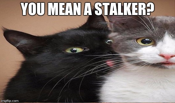 YOU MEAN A STALKER? | made w/ Imgflip meme maker
