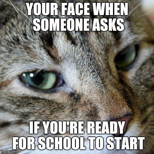 YOUR FACE WHEN SOMEONE ASKS; IF YOU'RE READY FOR SCHOOL TO START | image tagged in bored kitty | made w/ Imgflip meme maker