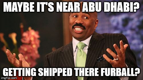 Steve Harvey Meme | MAYBE IT'S NEAR ABU DHABI? GETTING SHIPPED THERE FURBALL? | image tagged in memes,steve harvey | made w/ Imgflip meme maker