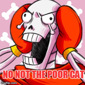 NO NOT THE POOR CAT | made w/ Imgflip meme maker