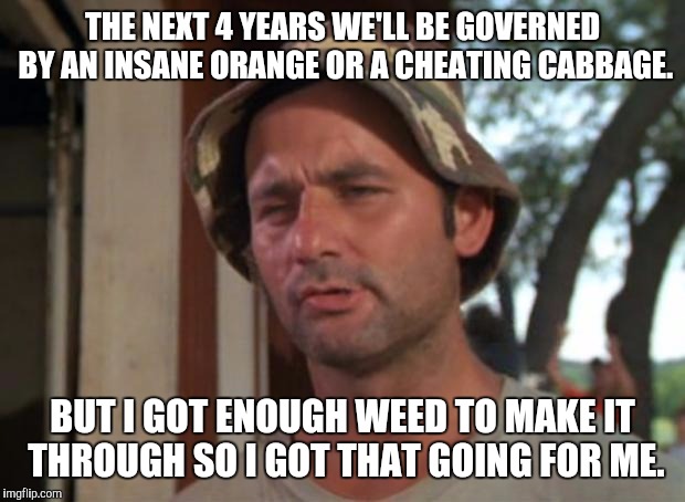 So I Got That Goin For Me Which Is Nice | THE NEXT 4 YEARS WE'LL BE GOVERNED BY AN INSANE ORANGE OR A CHEATING CABBAGE. BUT I GOT ENOUGH WEED TO MAKE IT THROUGH SO I GOT THAT GOING FOR ME. | image tagged in memes,so i got that goin for me which is nice | made w/ Imgflip meme maker