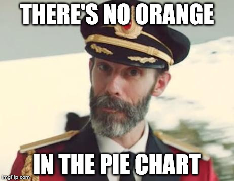 THERE'S NO ORANGE IN THE PIE CHART | image tagged in captain obvious | made w/ Imgflip meme maker