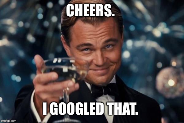 Leonardo Dicaprio Cheers Meme | CHEERS. I GOOGLED THAT. | image tagged in memes,leonardo dicaprio cheers | made w/ Imgflip meme maker