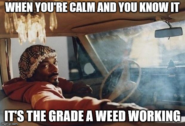 Snoop dog meme me  | WHEN YOU'RE CALM AND YOU KNOW IT; IT'S THE GRADE A WEED WORKING | image tagged in snoop dog meme me | made w/ Imgflip meme maker