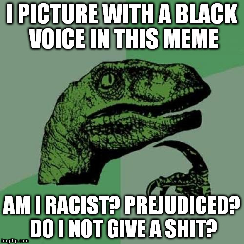 Philosoraptor Meme | I PICTURE WITH A BLACK VOICE IN THIS MEME AM I RACIST? PREJUDICED? DO I NOT GIVE A SHIT? | image tagged in memes,philosoraptor | made w/ Imgflip meme maker