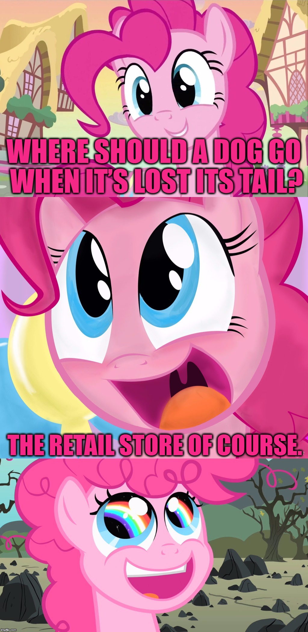 Bad Pun Pinkie Pie | WHERE SHOULD A DOG GO WHEN IT’S LOST ITS TAIL? THE RETAIL STORE OF COURSE. | image tagged in bad pun pinkie pie,mlp,my little pony,pinkie pie,memes,bad pun | made w/ Imgflip meme maker