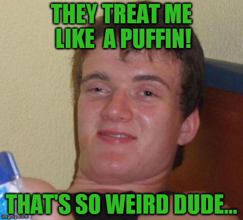 10 Guy Meme | THEY TREAT ME LIKE  A PUFFIN! THAT'S SO WEIRD DUDE... | image tagged in memes,10 guy | made w/ Imgflip meme maker