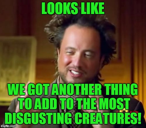 Ancient Aliens Meme | LOOKS LIKE WE GOT ANOTHER THING TO ADD TO THE MOST DISGUSTING CREATURES! | image tagged in memes,ancient aliens | made w/ Imgflip meme maker