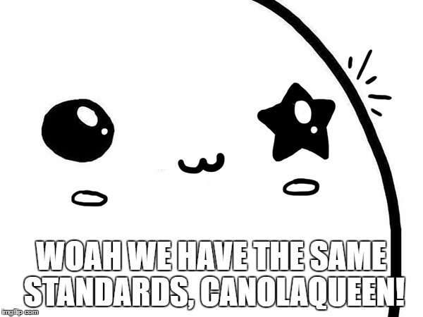 WOAH WE HAVE THE SAME STANDARDS, CANOLAQUEEN! | made w/ Imgflip meme maker