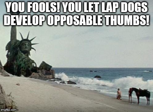 Charlton Heston Planet of the Apes | YOU FOOLS! YOU LET LAP DOGS DEVELOP OPPOSABLE THUMBS! | image tagged in charlton heston planet of the apes | made w/ Imgflip meme maker
