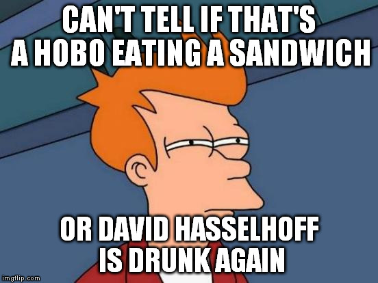 Futurama Fry Meme | CAN'T TELL IF THAT'S A HOBO EATING A SANDWICH OR DAVID HASSELHOFF IS DRUNK AGAIN | image tagged in memes,futurama fry | made w/ Imgflip meme maker
