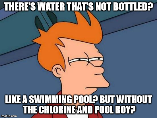 Futurama Fry Meme | THERE'S WATER THAT'S NOT BOTTLED? LIKE A SWIMMING POOL? BUT WITHOUT THE CHLORINE AND POOL BOY? | image tagged in memes,futurama fry | made w/ Imgflip meme maker