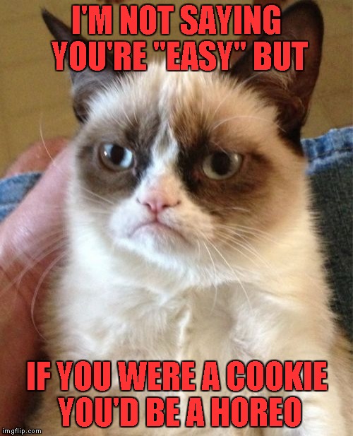 Grumpy Cat Meme | I'M NOT SAYING YOU'RE "EASY" BUT; IF YOU WERE A COOKIE YOU'D BE A HOREO | image tagged in memes,grumpy cat | made w/ Imgflip meme maker