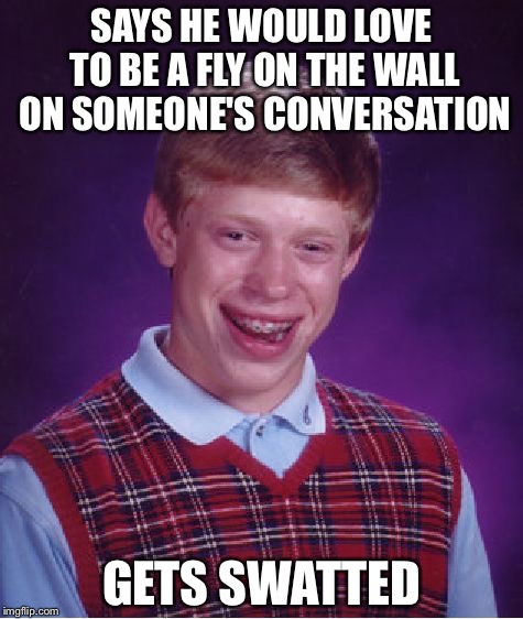 Bad Luck Brian | SAYS HE WOULD LOVE TO BE A FLY ON THE WALL ON SOMEONE'S CONVERSATION; GETS SWATTED | image tagged in memes,bad luck brian | made w/ Imgflip meme maker