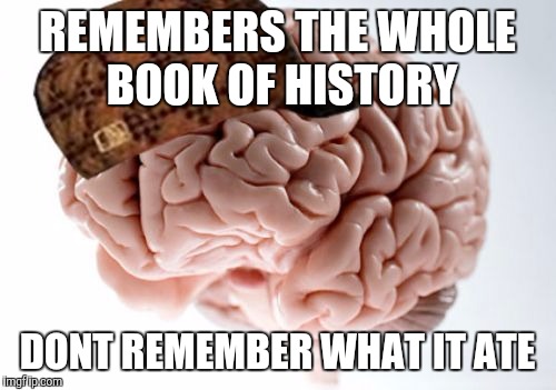 Scumbag Brain Meme | REMEMBERS THE WHOLE BOOK OF HISTORY; DONT REMEMBER WHAT IT ATE | image tagged in memes,scumbag brain | made w/ Imgflip meme maker