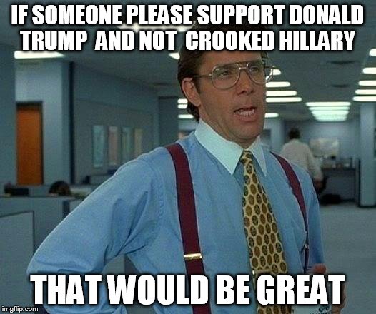 That Would Be Great Meme | IF SOMEONE PLEASE SUPPORT DONALD TRUMP  AND NOT  CROOKED HILLARY; THAT WOULD BE GREAT | image tagged in memes,that would be great | made w/ Imgflip meme maker