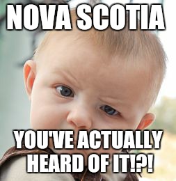 Skeptical Baby Meme | NOVA SCOTIA YOU'VE ACTUALLY HEARD OF IT!?! | image tagged in memes,skeptical baby | made w/ Imgflip meme maker