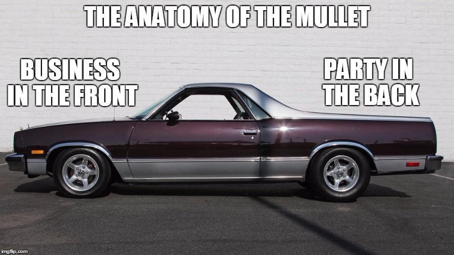 Don't deny its majesty | THE ANATOMY OF THE MULLET; PARTY IN THE BACK; BUSINESS IN THE FRONT | image tagged in mullet machine,el camino,mullet,redneck | made w/ Imgflip meme maker