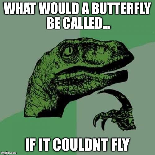 Philosoraptor Meme | WHAT WOULD A BUTTERFLY BE CALLED... IF IT COULDNT FLY | image tagged in memes,philosoraptor | made w/ Imgflip meme maker