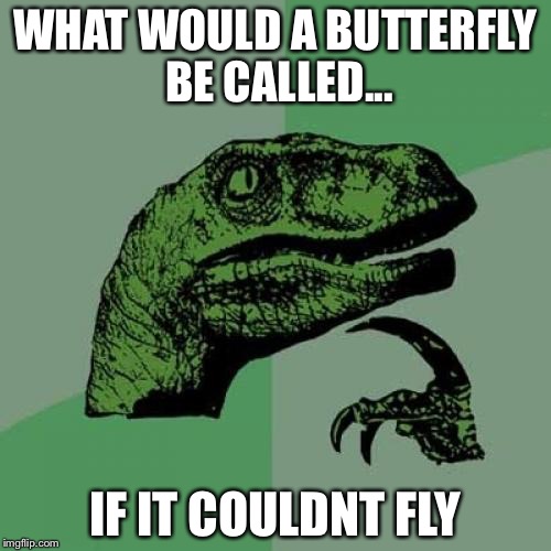 Philosoraptor | WHAT WOULD A BUTTERFLY BE CALLED... IF IT COULDNT FLY | image tagged in memes,philosoraptor | made w/ Imgflip meme maker